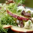 Salade-geitenkaas-en-appel[1]